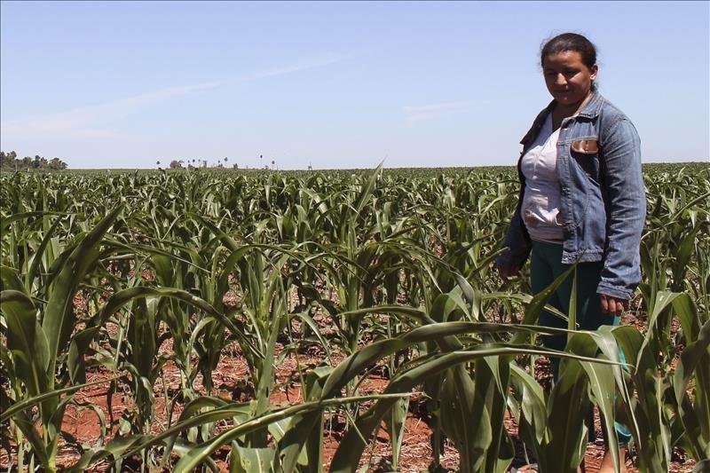 Paraguay peasants resist soybean agribusiness activities