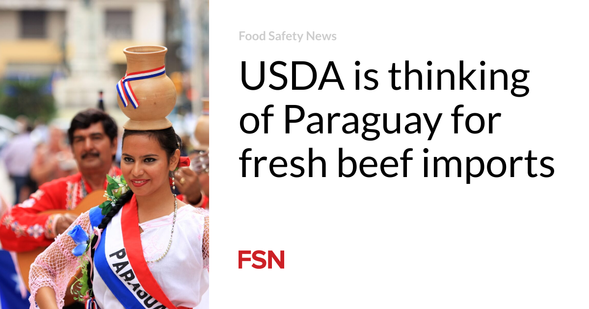 USDA is thinking of Paraguay for fresh beef imports